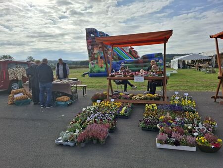 21. Kapüstni den_3 (Foto Damjana Nemeš)